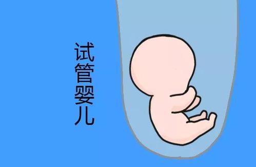 第三代试管婴儿